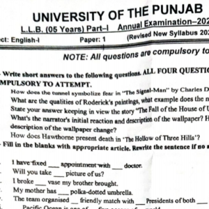 Screenshot 2026-08-23 152148 Part 1 Past Papers Punjab University 2024 Annual