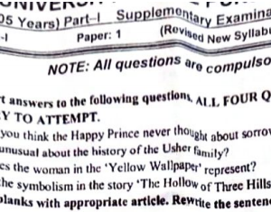Screenshot 2026-08-23 163447 Part 1 Past Papers Punjab University 2024 Supply