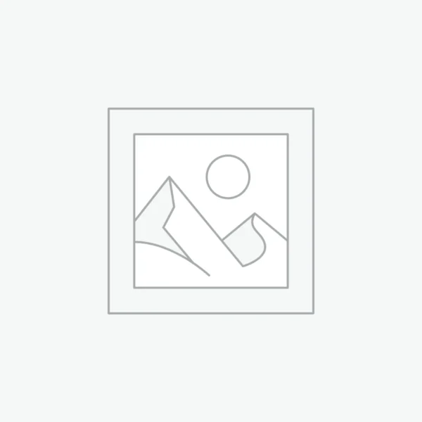 Econ PDF Bundle